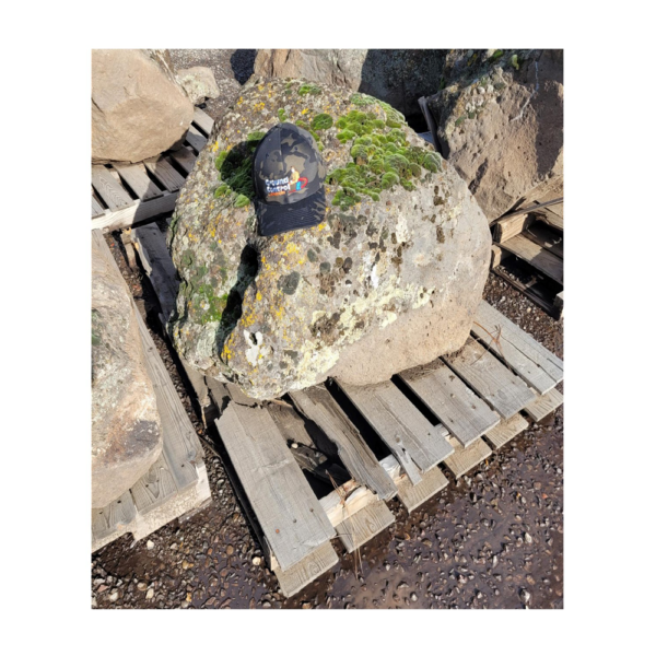 MOSS ROCK BOULDER